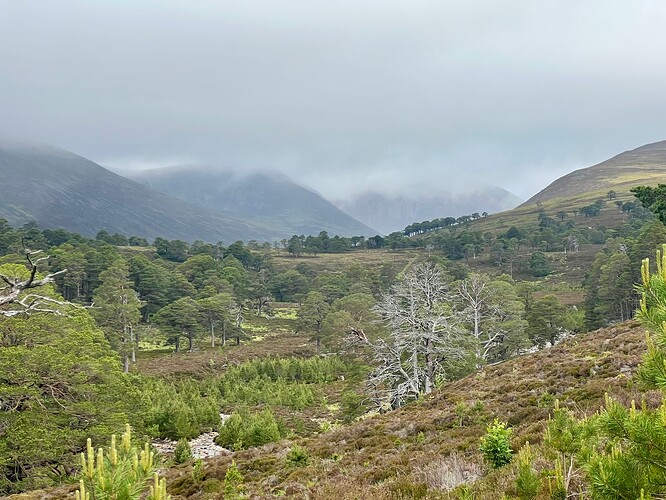 Low cloud down Glen Derry
