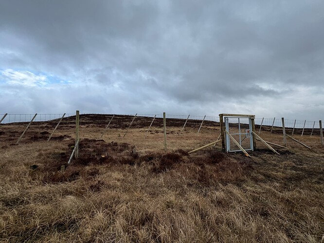 The gate in the deer fence on approach towards the summit area