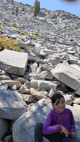 In the Boulder Field