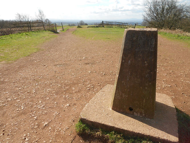 CE2 Walton Hill, 26-03-26 (9)