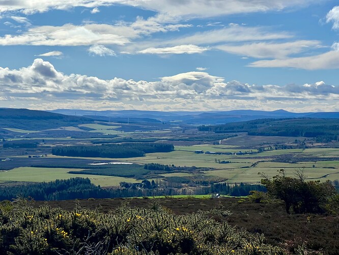 Surroundings