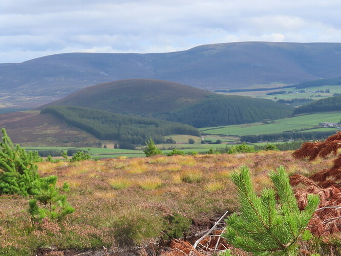 Carn Daimh towards The Bochel