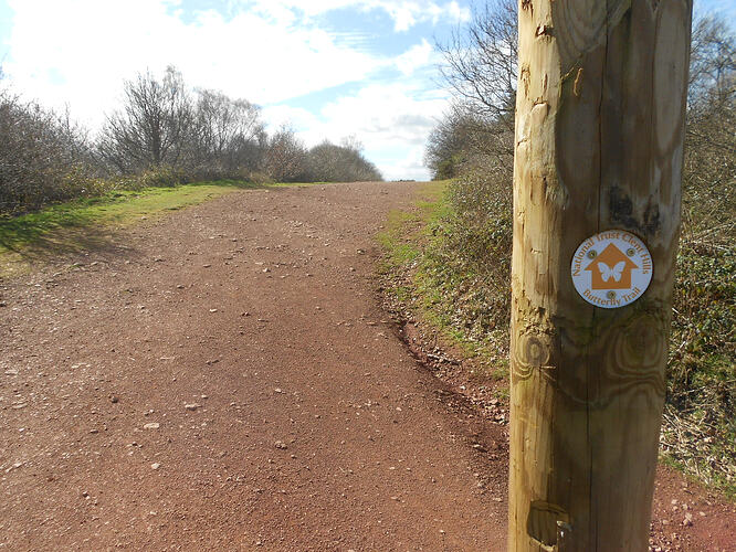 CE2 Walton Hill, 26-03-26 (7)