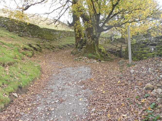 NP26 KISDON on VHF, 24-10-25 (2)