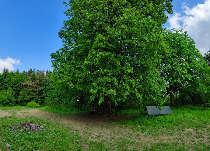 IMG20230611150032