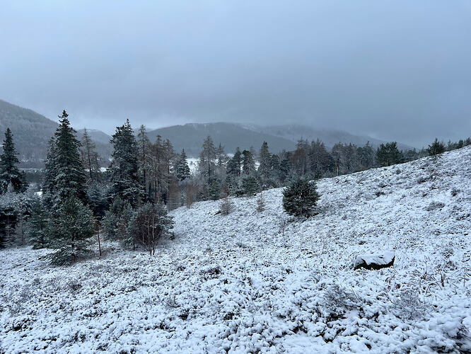 View down the Dee valley