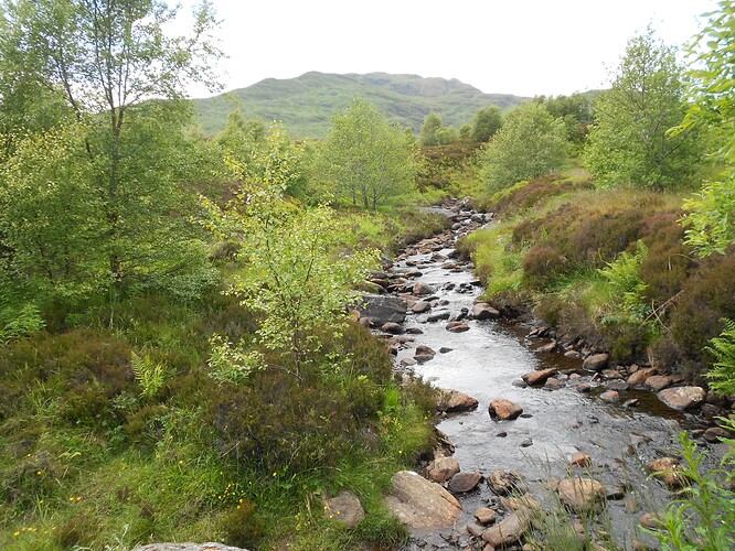 CS15 MEALL nan TARMACHAN, 19-06-23 (97)