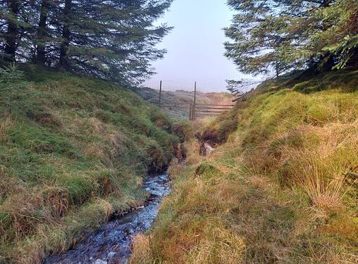 GM7STP-GMSS166-Photo-04