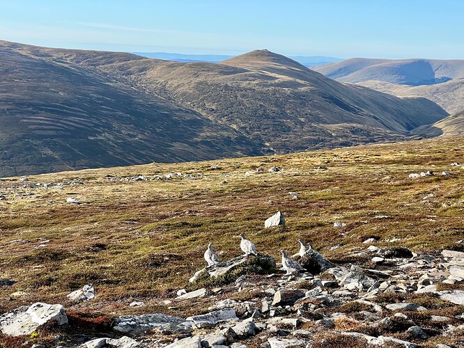 Passing the residents