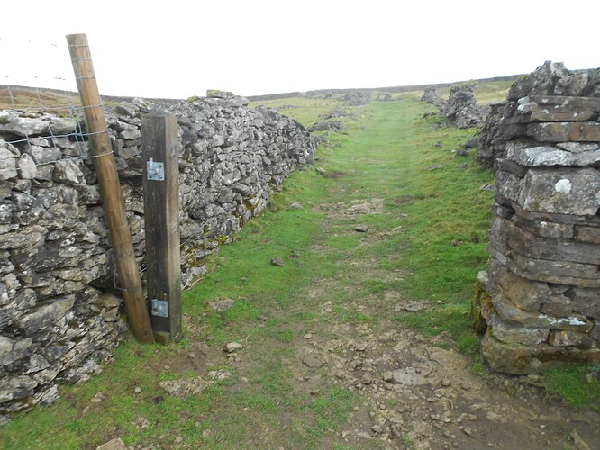 NP26 KISDON on HF, 21-10-25 (15)