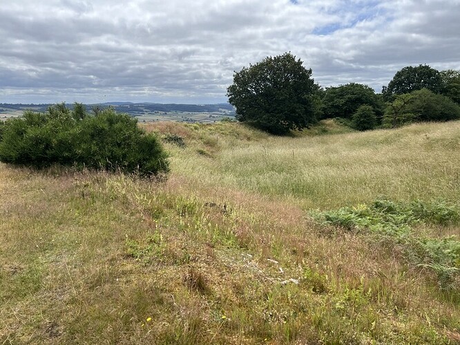 G/WB-014 Burrow view inside eastern ramparts