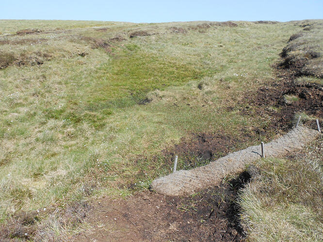 NP18 Nine Standards Rigg, 25-05-26 (17)