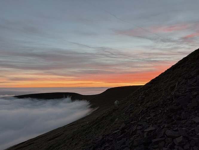 91F55983-1744-48EA-BB8B-A002E6503B97_1_102_o