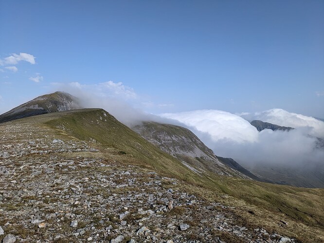 PXL_20250814_084123259