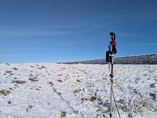 PXL_20260214_1232422431