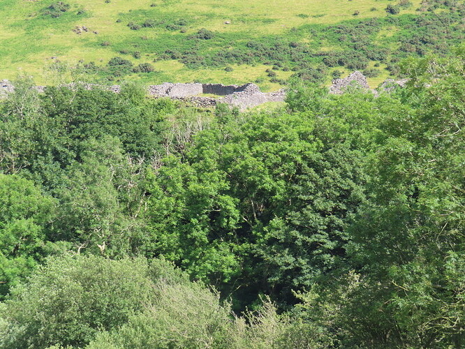 Castell y Bere