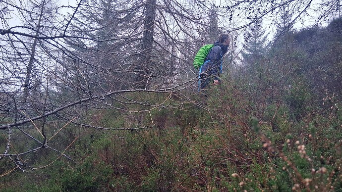 Looking for the summit