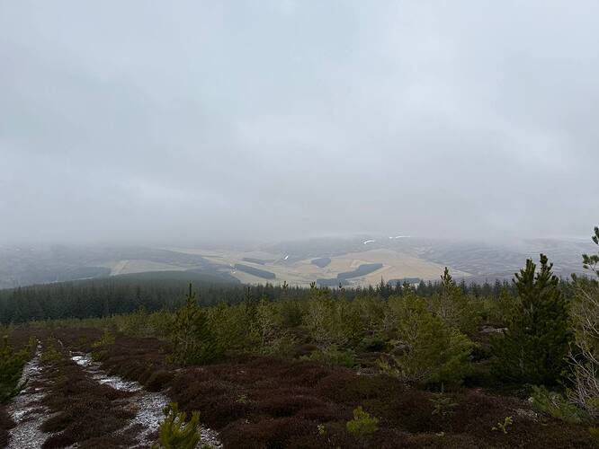 ladylea-scenery