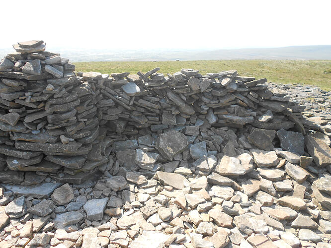 NP7 Ingleborough, 27-05-26 (45)