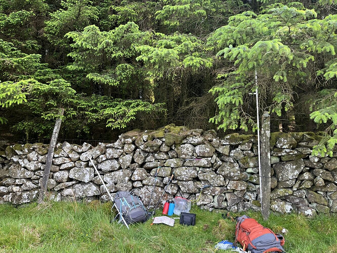 VHF in treeson GW/NW-074