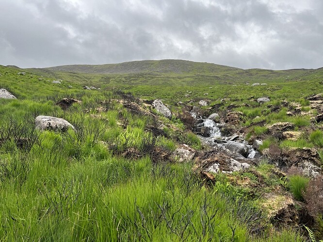 Sheil Burn