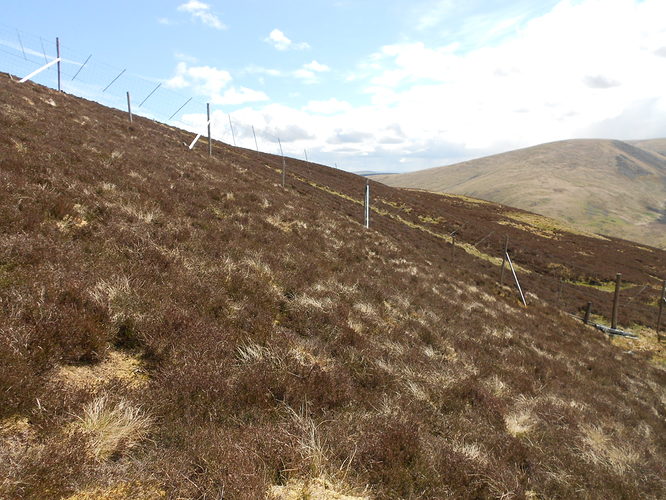 SS29 Broad Law, 18-05-21 (17)
