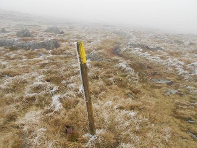 NP8 Gt Whernside VHF,26-12-25 (30)