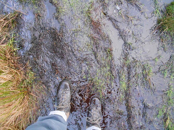 NP8 Gt Whernside VHF,26-12-25 (18)