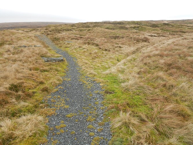 NP17 Fountains Fell,28-12-25 (16)