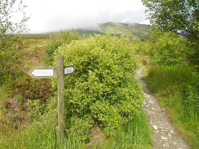 CS15 MEALL nan TARMACHAN, 19-06-23 (9)
