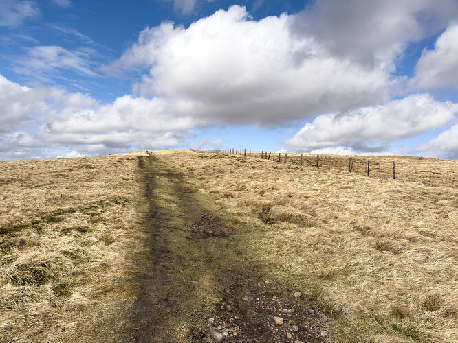View along the grassy track approaching the summit of Ben Cleuch