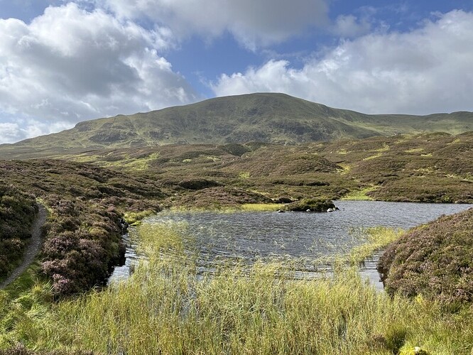 White Coomb from Loch Skeen