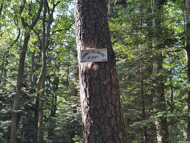 SOTA 3