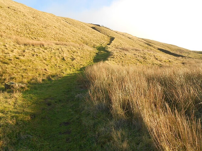 NP8 Gt Whernside VHF,26-12-25 (62)