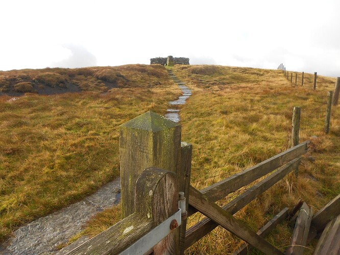 NP6 Gt.Shunner VHF, 22-10-25 (15)