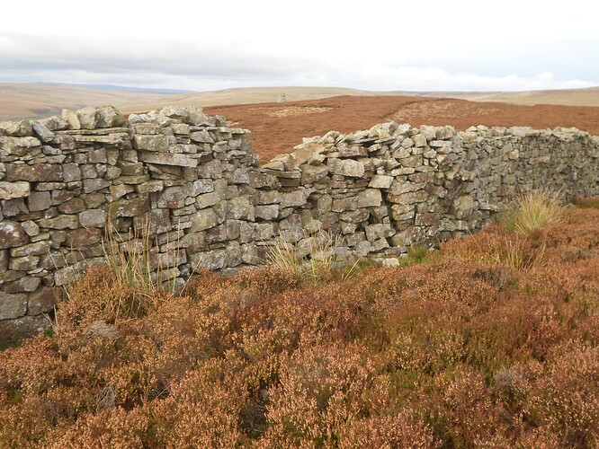 NP26 KISDON on VHF, 24-10-25 (13)