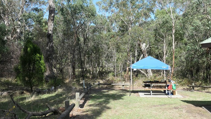 Station set up for 40m