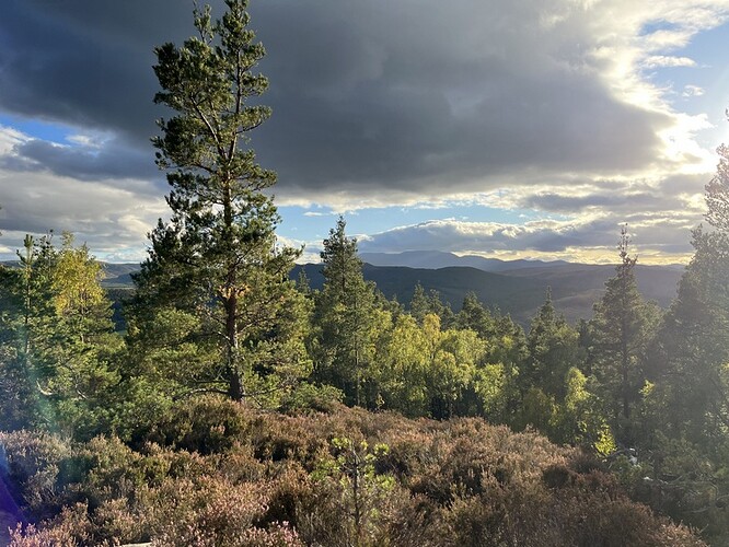 view from Craigendarroch GM/ES-078