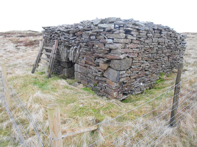 NP17 Fountains Fell,28-12-25 (22)