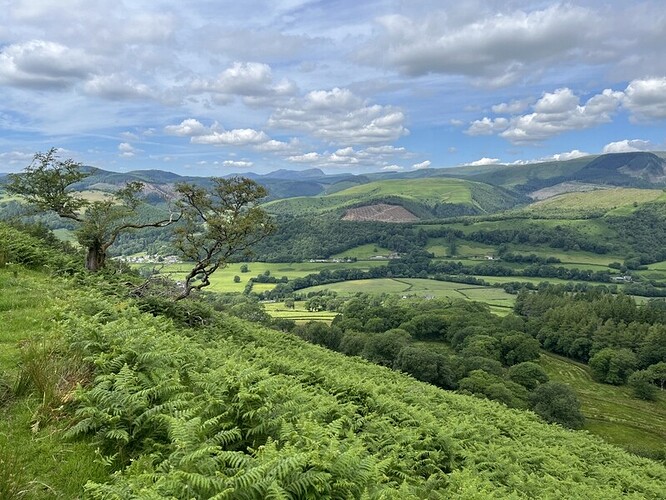 Ascending Esgair Ddu