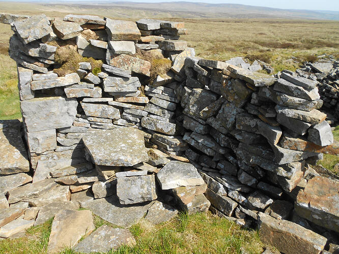 NP18 Nine Standards Rigg, 25-05-26 (32)
