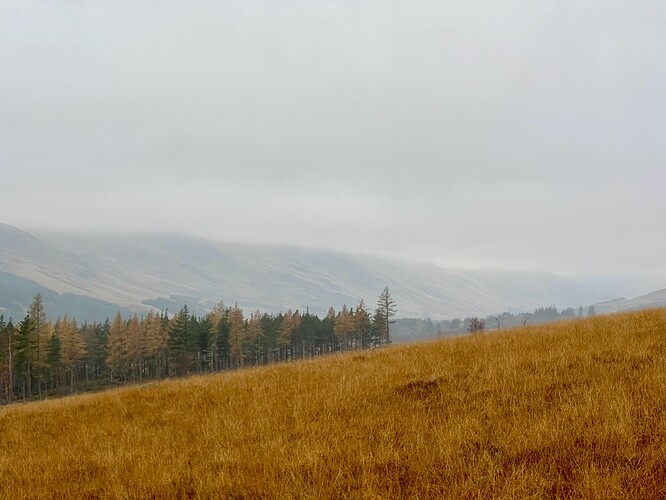 Looking west down Glen Clova