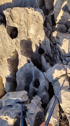 IMG_20221229_091353238_HDR
