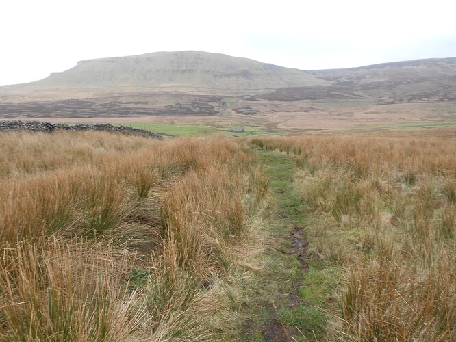 NP17 Fountains Fell,28-12-25 (3)