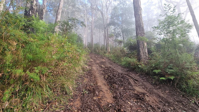Summit Track with fog in the background.