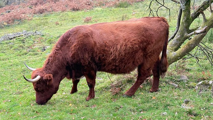 20251019_073900414_iOS