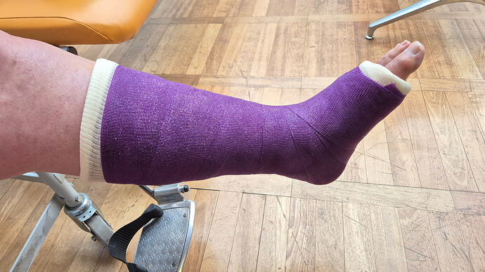 12-Purple Cast
