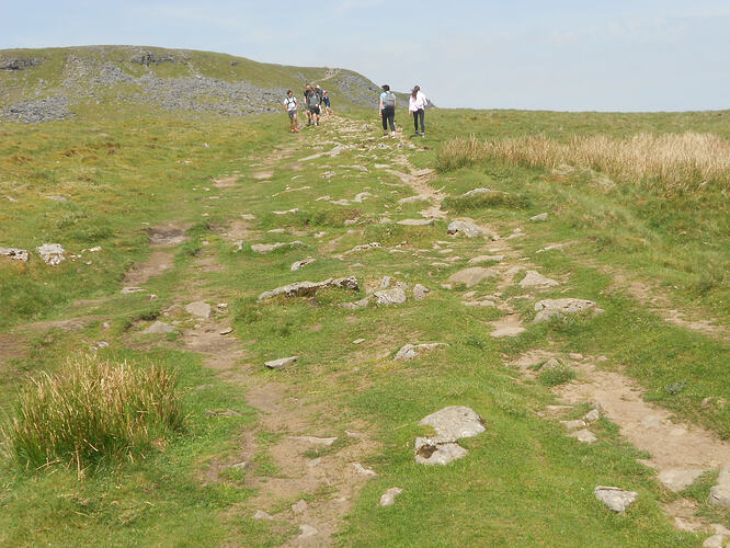 NP7 Ingleborough, 27-05-26 (18)