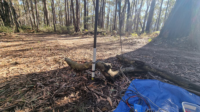 Two logs form the support for the six-metre mast.