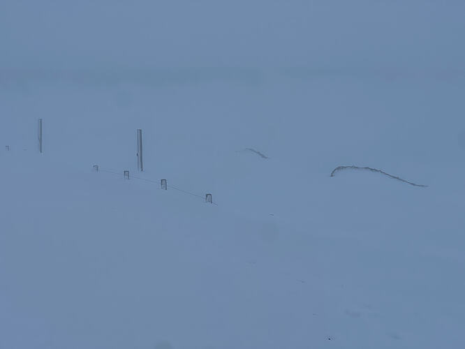 Fence crossing was easy